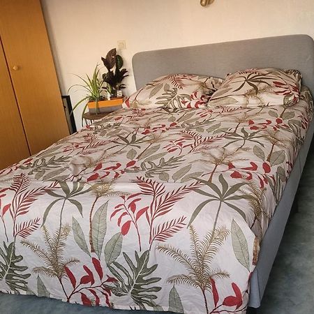 Charmante Villa Familiale A Rouen ボンスクール エクステリア 写真